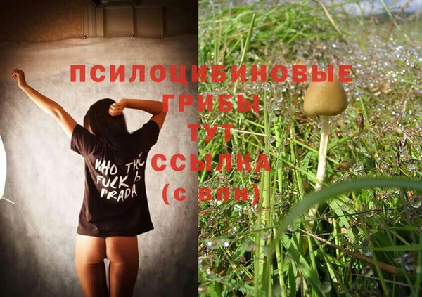 COCAINE Ладушкин